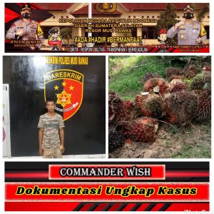 Pesona Buah Sawit, Supendi Mendekam Dipenjara