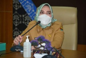 Audiensi Balai Besar Wilayah Sungai Sumatera VIII Bersama Bupati Mura 