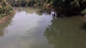 Aktivitas Galian C Di Kelurahan Selangit Sebabkan Air Lakitan Sering Keruh