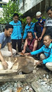 Gubernur Sumsel Bantu Satu Sapi Kepada FPPS Sumsel