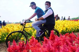 Resmikan Kampoeng Wisata Ya Samman Cindo, Herman Deru Dorong Jadi Wisata Edukasi Pertanian 