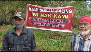 PT Bina Sains Cemerlang (BSC) Tidak Responsif, Warga Suka Maju Inisiatif ” Rawat Kebun “