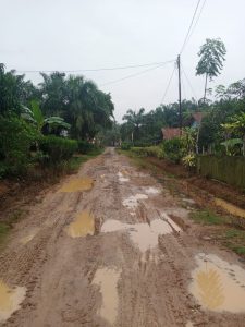Rusak Parah, Jalan Lingkungan Desa Sumber Rejeki Butuh Perhatian Pemkab Muba