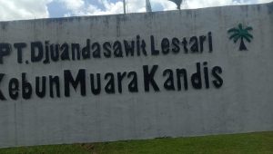 Diduga Paksa  Karyawan Mengundurkan Diri, Manajer Perusahan PT. Juanda Sawit Lestari Tutup Mata