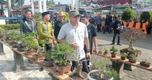 Staf Ahli Buka Kontes Bonsai Dalam Rangka HUT RI Ke-77