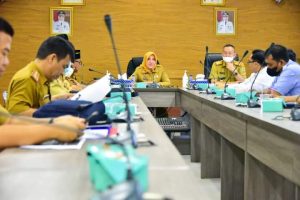 Bupati Ratna Machmud Siap Fasilitasi Jaringan Listrik Desa Sindang Laya dan Mukti Karya 