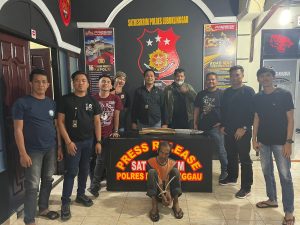 Pasal ” Cacing Tarik ” Sesama Pengaman Pasar Saling Tujah