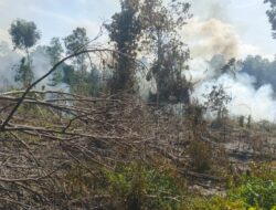 Berkebun Bakar Lahan, Warga Musi Rawas Diamankan