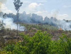Buka Lahan Cara Dibakar, Warga Lubuklinggau Utara Diamankan Reskrim Polres Mura 